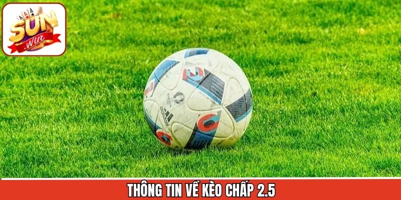 Khái quát sơ lược về loại kèo tại Sunwin