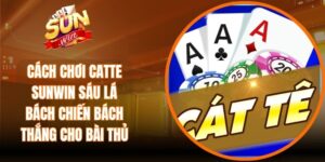 Cách Chơi Catte